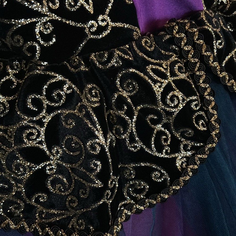 Weissman Ballet Dance Costume - image 3